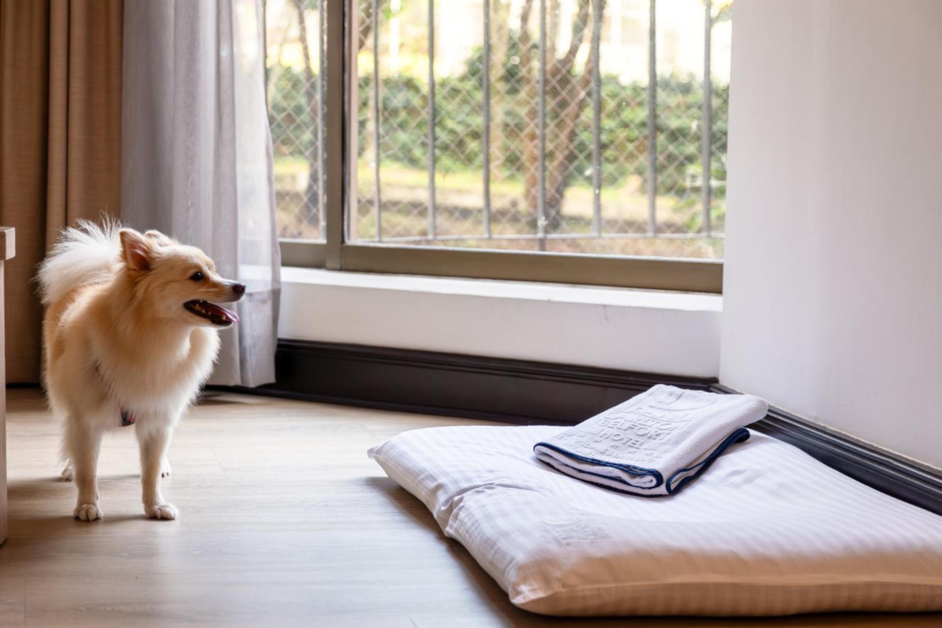 Hotel Dann Carlton Belfort Medellín Eksteriør bilde A dog bed